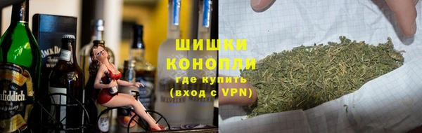 сатива Богородицк