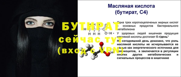 индика Богданович