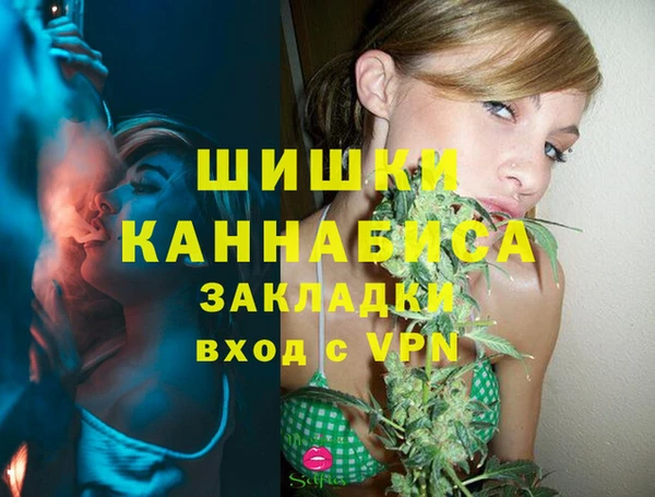 индика Богданович