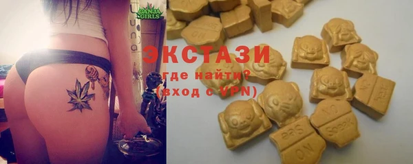 стаф Белокуриха