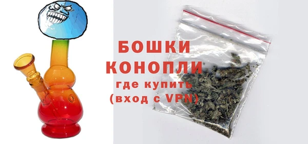 индика Богданович