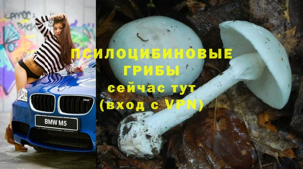 сатива Богородицк