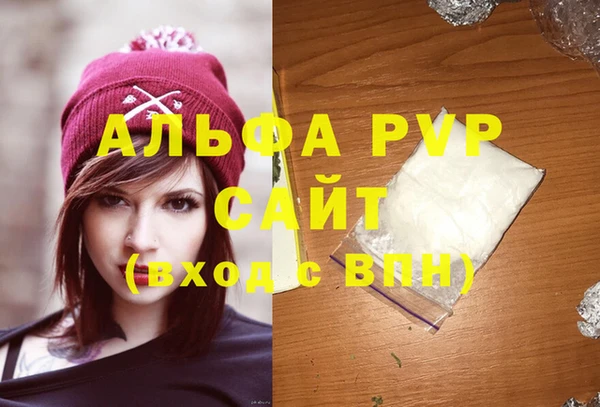 индика Богданович