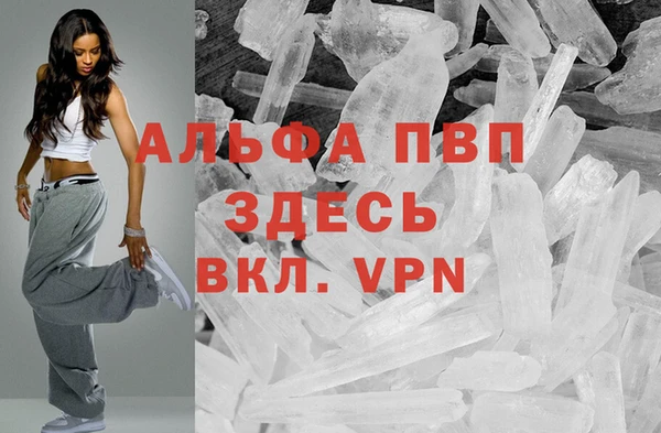 сатива Богородицк