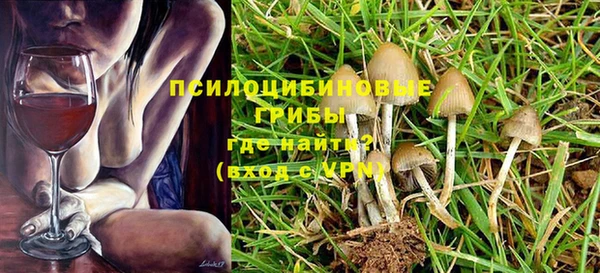 сатива Богородицк