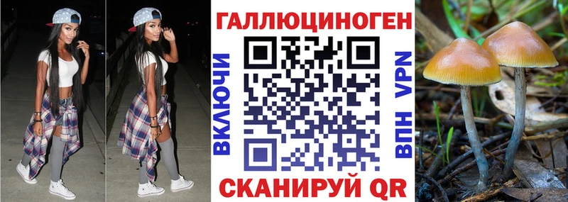 Галлюциногенные грибы Magic Shrooms  Пионерский 